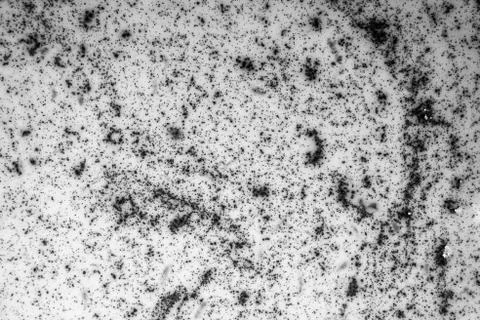 Texture of black particles in white liquid. Foto stock