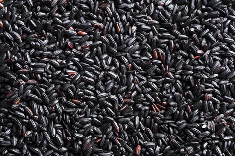 Texture black rice 스톡 사진