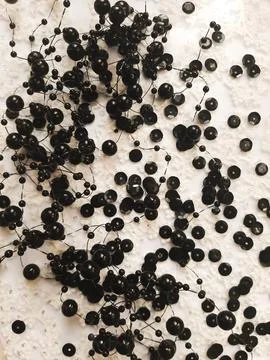 Texture of black sequins with beads on white background for graphic design Stock Photos