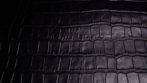 Black crocodile leather texture closeup background., Stock image