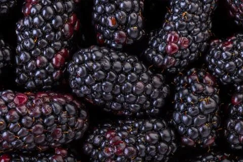 Texture of a blackberry close-up Stock Photos