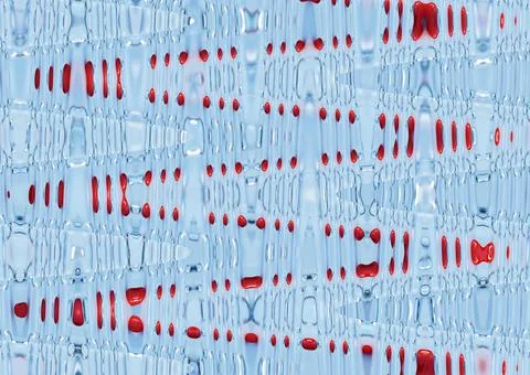 Texture of blue background with red abstract stripes. Blue and red pattern Illustrazione stock