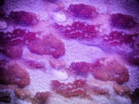 Texture Of Blue Stone In The Garden 스톡 사진