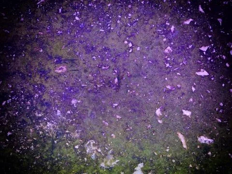 Texture Of Blue Stone In The Garden 스톡 사진