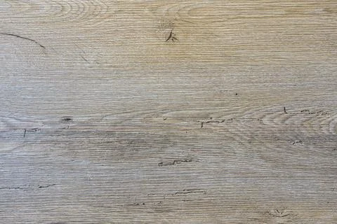 The texture of the board on the wall. The background Stock Photos