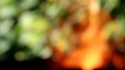 Texture. Bonfire. Orange flame of a fire. Stock Footage 134461505