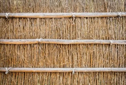 Texture of branches wall Stock Photos