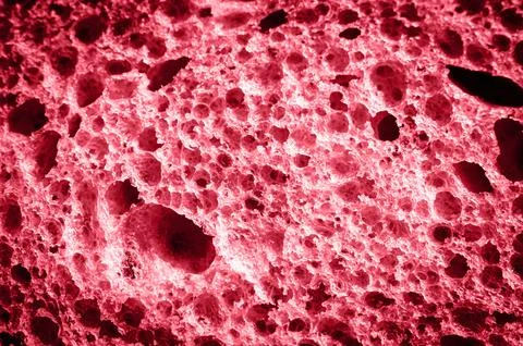 Texture bread as close up background. backdrop of rough dappled textured surf Stock Photos