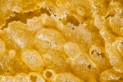 Texture of bread crust, macro photography Stock Photos