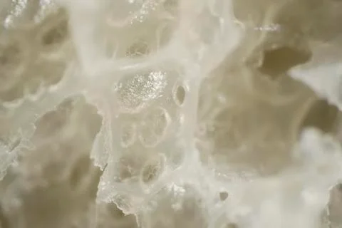 Texture of the bread, macro photography Stock Photos