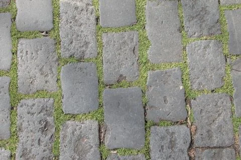 Texture of brick pavement with grass 2 Stock Photos