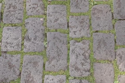 Texture of brick pavement with grass Stock Photos