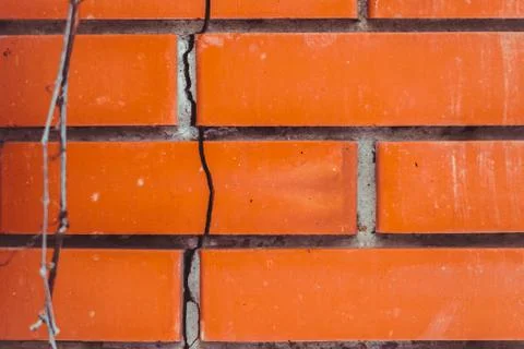 The texture of the brick Stock Photos