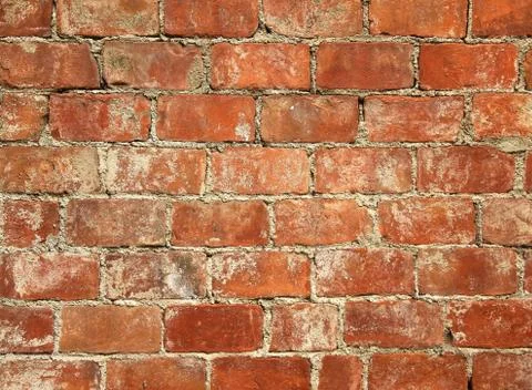 Texture of a brick wall Stock Photos