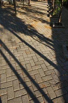 The texture of the bricks in the garden and the shadows of the trees Stock Photos