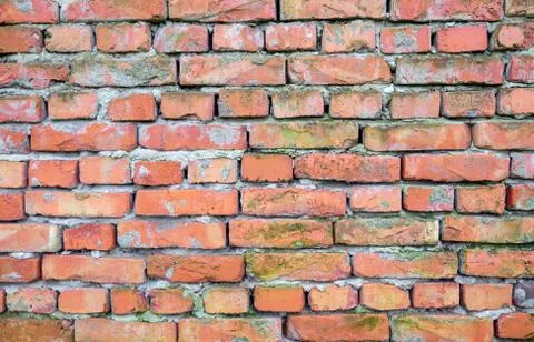 Texture of the Bricks Stock Photos