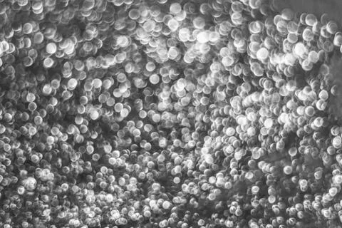 Texture of bright blurry background of sparkles, sequins, sparkling dust, blu Stock Photos