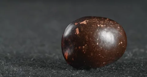 The texture of the brown bean close-up. Macro legumes. Видео 166495978