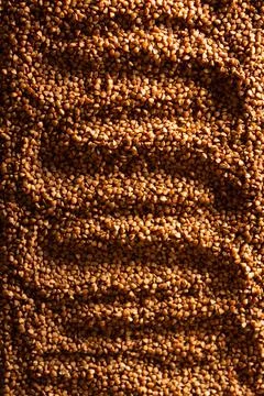 Texture of brown buckwheat close-up Stock Photos