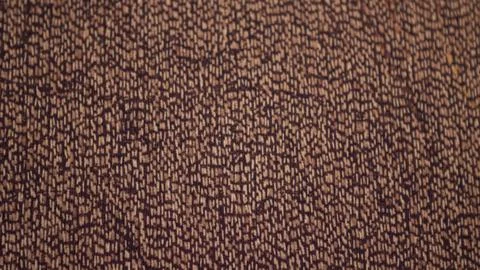 Texture of a brown carpet Foto stock