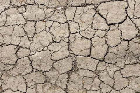 Texture of Brown cracked soil path is in a summer park 스톡 사진