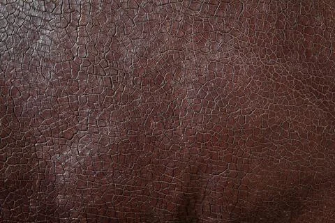 Texture of brown leather Stock Photos