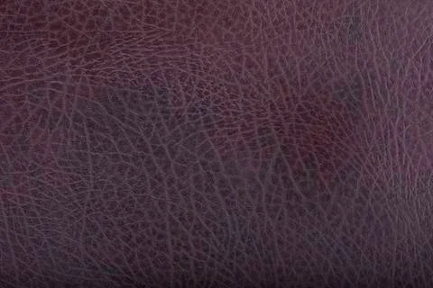 Texture of brown leather Stock Photos