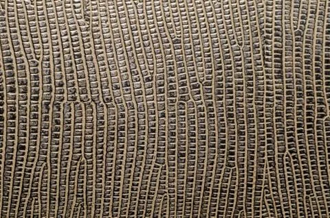 Texture of brown leather surface macro closeup Stock Photos