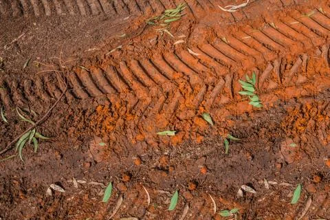 Texture of brown mud with tractor tyre tracks Stock Photos