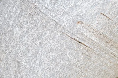 Texture of brown palm tree bark Stock Photos