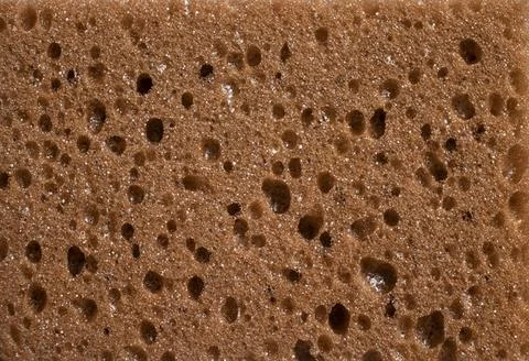The texture of the brown sponge is detailed macro Stock Photos