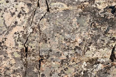 Texture of brown weathered stone Stock Photos