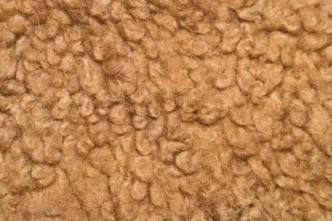 Texture brown wool Stock Photos