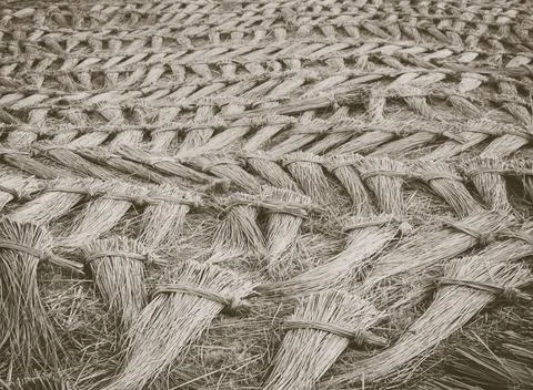 Texture from brushwood forming a pattern on the ground Foto stock