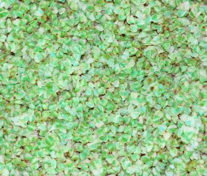 The texture of buckwheat. Background of cooked buckwheat porridge. Stock Photos