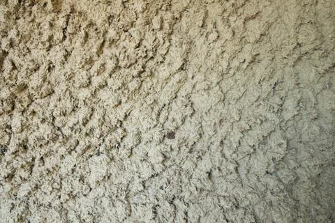 Texture of buffalo skin. Stock Photos