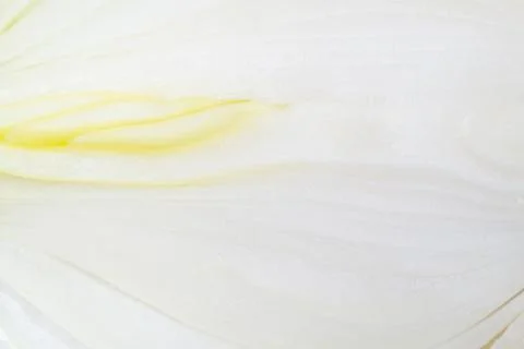 Texture bulb onions close up Stock Photos