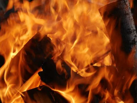 The texture of a burning campfire is close. You can see the wood Foto stock