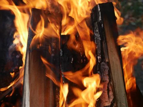 The texture of a burning campfire is close. You can see the wood Stock Photos