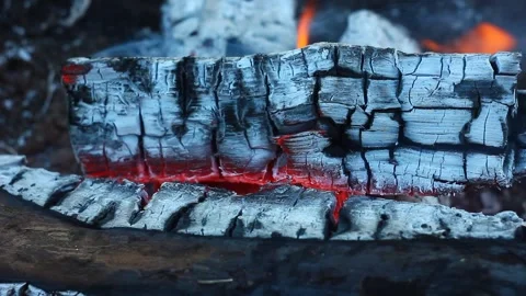 Texture of burning lights and fire in a bonfire. Burning logs close-up. Stock Footage 147110937