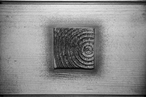 Texture of a butt cut of a tree on a background of a wooden board. Foto stock