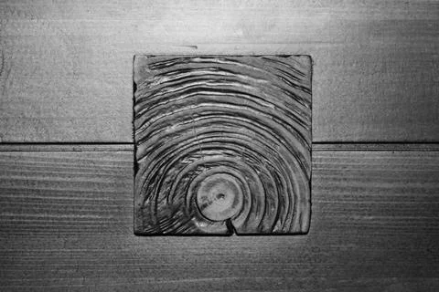 Texture of a butt cut of a tree on a background of a wooden board. Stock Photos