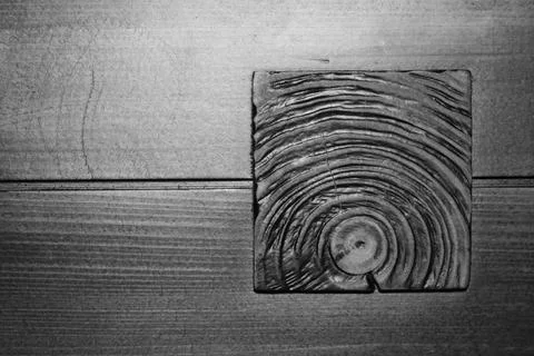 Texture of a butt cut of a tree on a background of a wooden board. Stock Photos