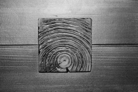 Texture of a butt cut of a tree on a background of a wooden board. Stock Photos