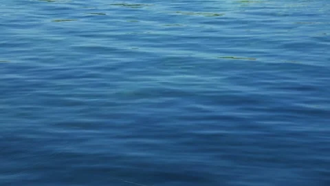 Texture of calm water surface with little movement. Stock Footage 252022859