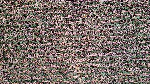 The texture of a carpet or mat is complex and dense Foto stock