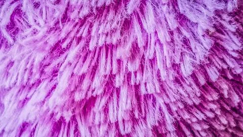 The texture of the carpet is soft and beautiful 库存照片