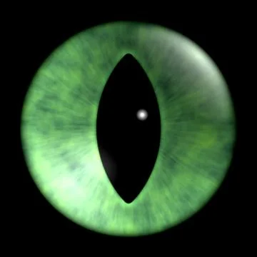 Texture of cat eyes on a black background Stock Illustration