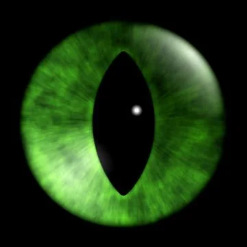 Texture of cat eyes Stock Illustration