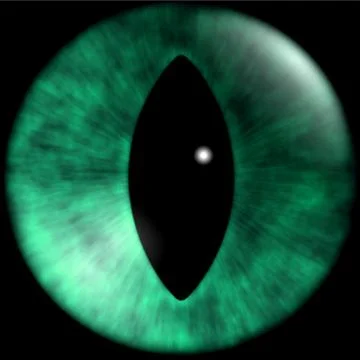 Texture of cat eyes Stock Illustration